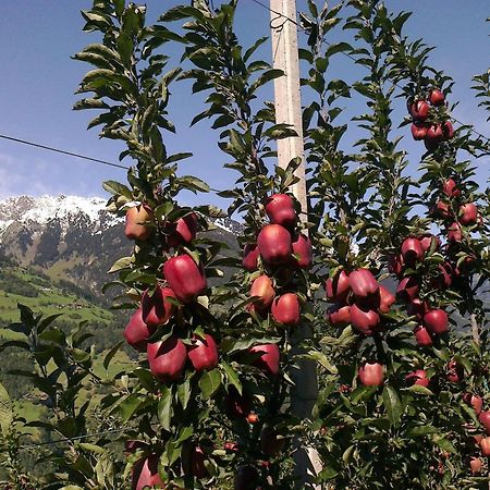Zimmervermietung Groeberhof Schenna Dış mekan fotoğraf