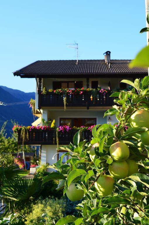 Zimmervermietung Groeberhof Schenna Dış mekan fotoğraf